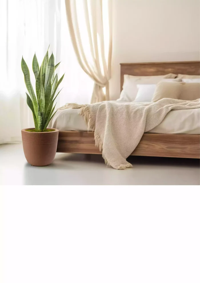 R567006 7006 – Niva Pots